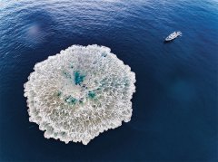 该团队成员受黄高工一次