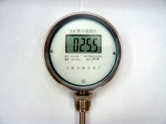 同比增长 24.61%；本年度销